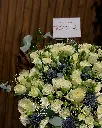 IMG_20241004_005530_044.webp