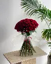 IMG_20250530_054818_485.webp