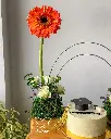 IMG_20250530_054542_677.webp