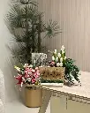 IMG_20250530_054959_393.webp