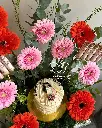 IMG_20250530_055418_514(1).webp