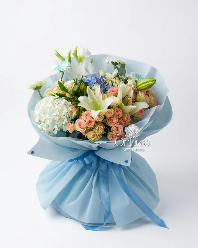 aGDoNZgs4B77rxqzatrODt.webp