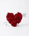 82H5tfRRwvsaqD-toB3_mW.webp