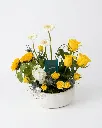 amCwkHCx8BK6UrZdd2_4Xf.webp