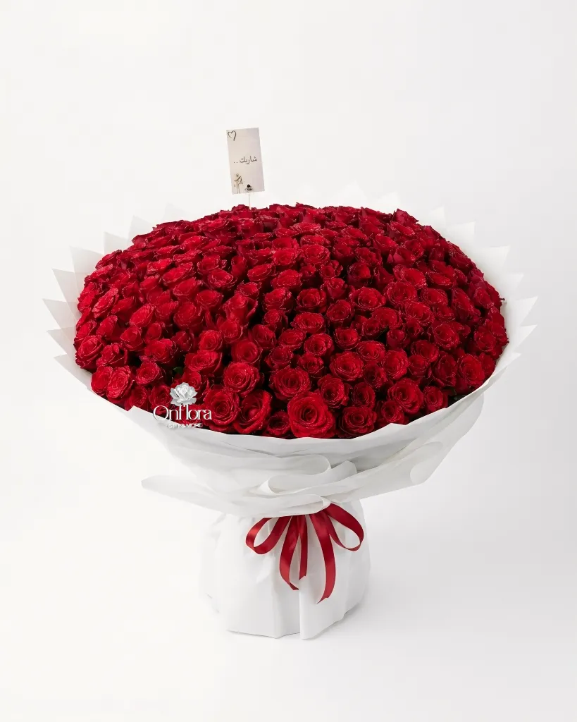 aTPfJwAty_q6vZvsesaO3z(1).webp