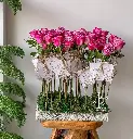تنسيق توزيعات ورود