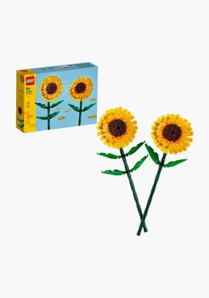 توفير ألعاب للأولاد من سنتربوينت خلال ساعه أو ربما أقل مناسب جداً لتقديمة كهديه (بدون تنسيق)