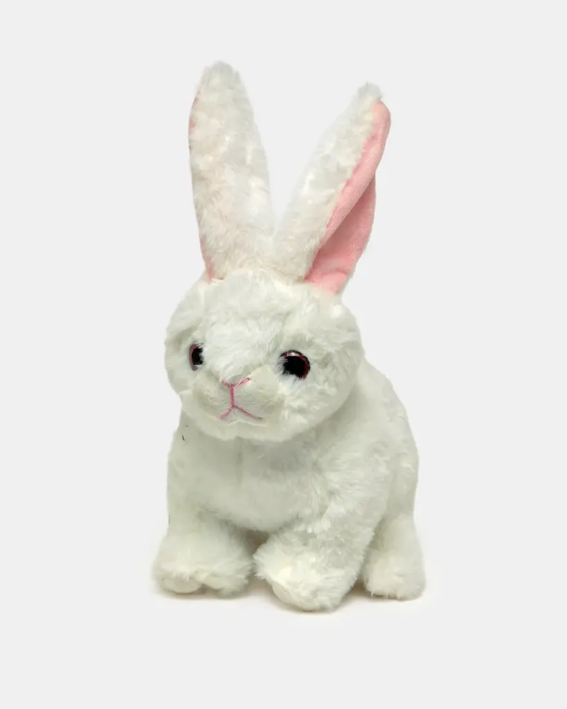 توفير ألعاب للأولاد والبنات من ردتاغ خلال ساعه أو ربما أقل مناسب جداً لتقديمة كهديه (بدون تنسيق)