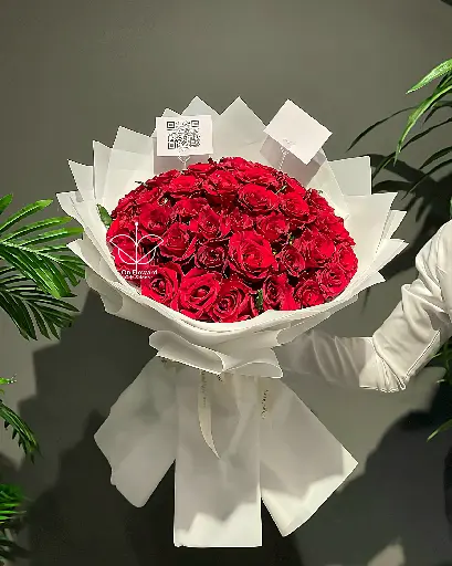 [G3] تنسيق باقه
