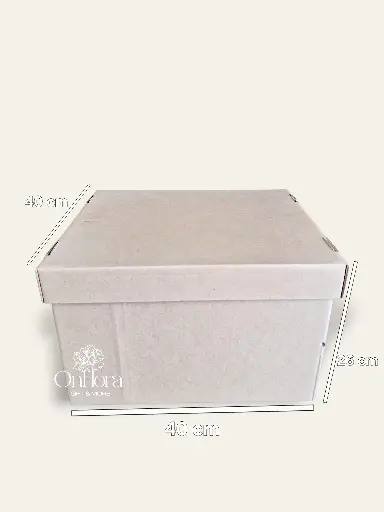 بوكس صندوق هدايا بني كرتوني 